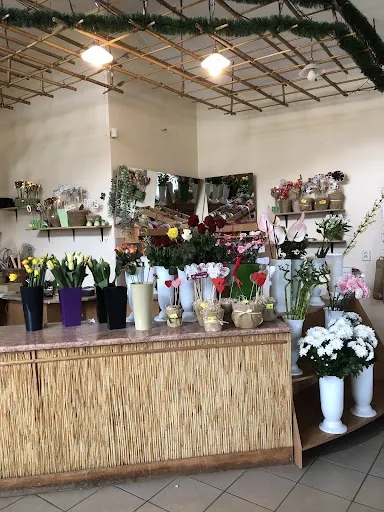 Kwiaciarnia Ogrodnictwo Renata Andrzejewska Krystyna Kazimierowicz